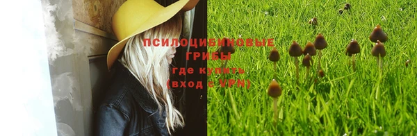 шишки Армянск