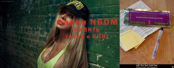шишки Армянск