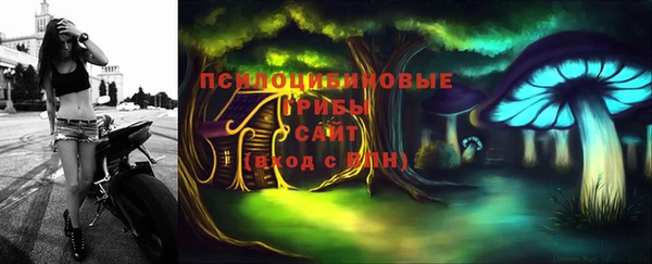 шишки Армянск